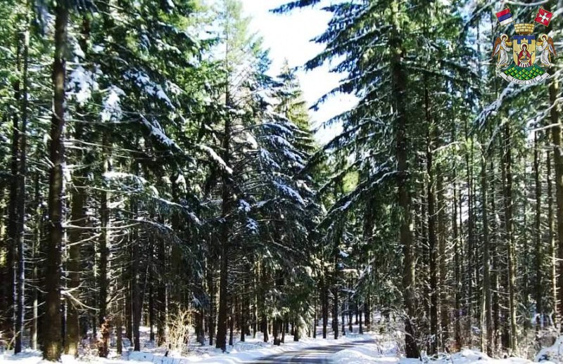 AПЕЛ ПОВОДОМ МЕЂУНАРОДНОГ ДАНА ШУМА