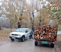 ОГРЕВНО ДРВО ЗА НАЈУГРОЖЕНИЈЕ ПОРОДИЦЕ