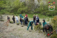 У ЈЕДНОМ ДАНУ ЗАСАЂЕНО 2000 САДНИЦА НА ГОЧУ