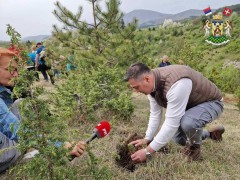 У ЈЕДНОМ ДАНУ ЗАСАЂЕНО 2000 САДНИЦА НА ГОЧУ