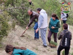 У ЈЕДНОМ ДАНУ ЗАСАЂЕНО 2000 САДНИЦА НА ГОЧУ