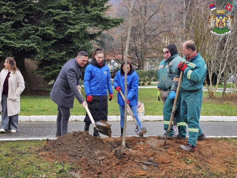 АКЦИЈА „ЗАСАДИ ДРВО“ У ВРЊАЧКОЈ БАЊИ