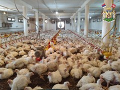 МИНИСТАР ГЛАМОЧИЋ И ПРЕДСЕДНИК ОПШТИНЕ ЂУРОВИЋ ОБИШЛИ ГАЗДИНСТАВА ПОРОДИЦА ЦВЕТКОВИЋ И ТОШИЋ